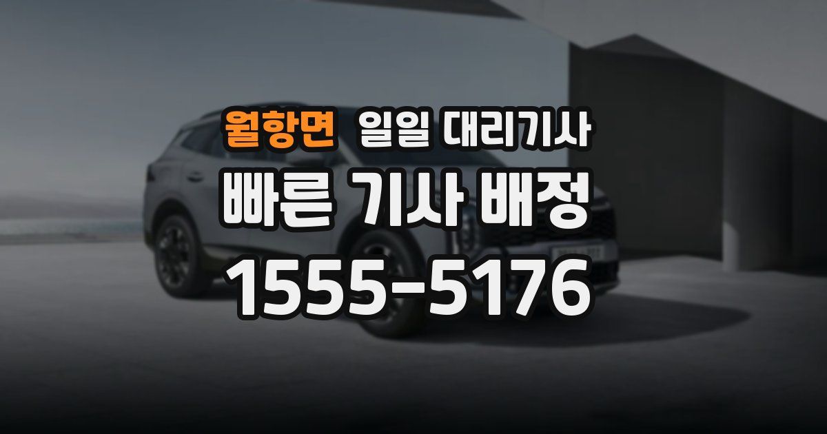 월항면 일일 대리기사