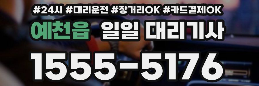 예천읍 일일 대리기사