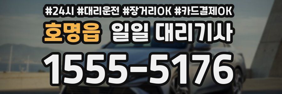 호명읍 일일 대리기사