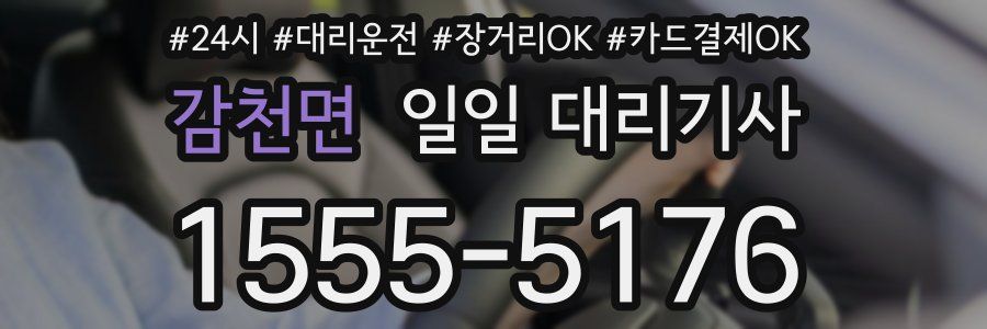 감천면 일일 대리기사