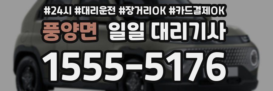풍양면 일일 대리기사