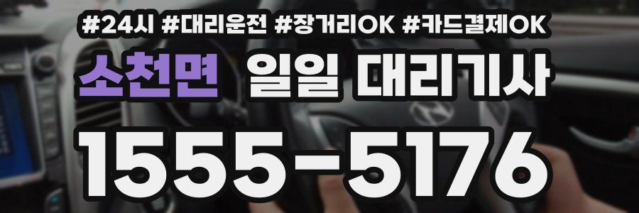 소천면 일일 대리기사