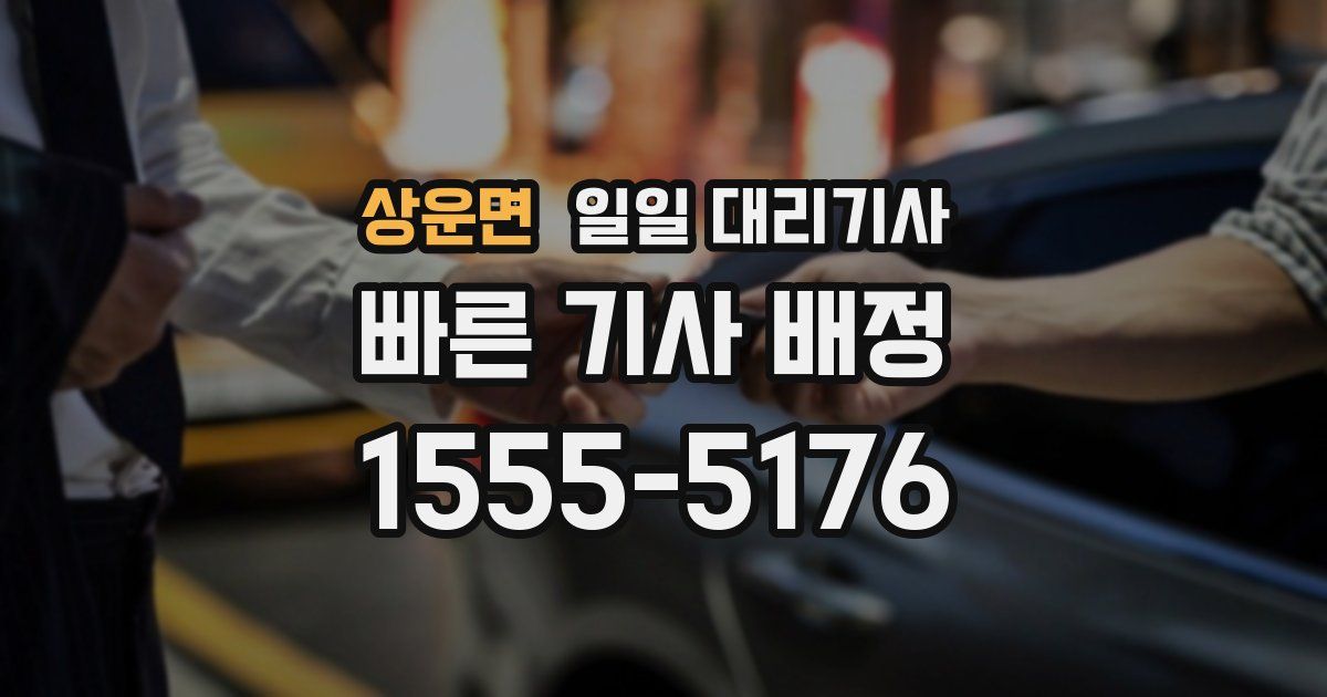 상운면 일일 대리기사