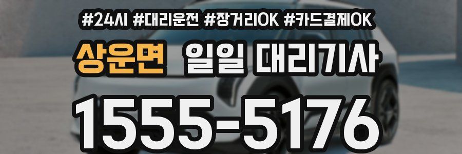 상운면 일일 대리기사