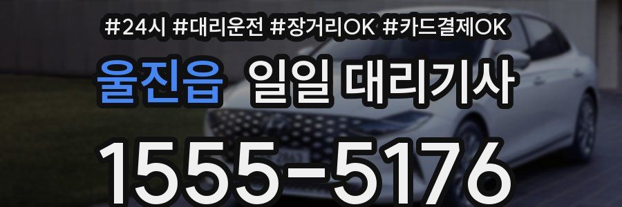 울진읍 일일 대리기사