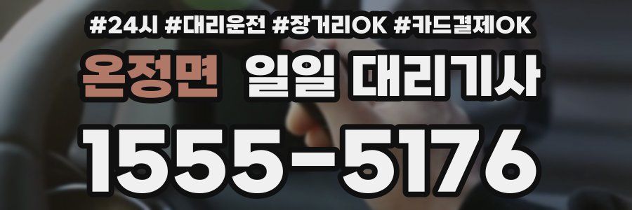 온정면 일일 대리기사