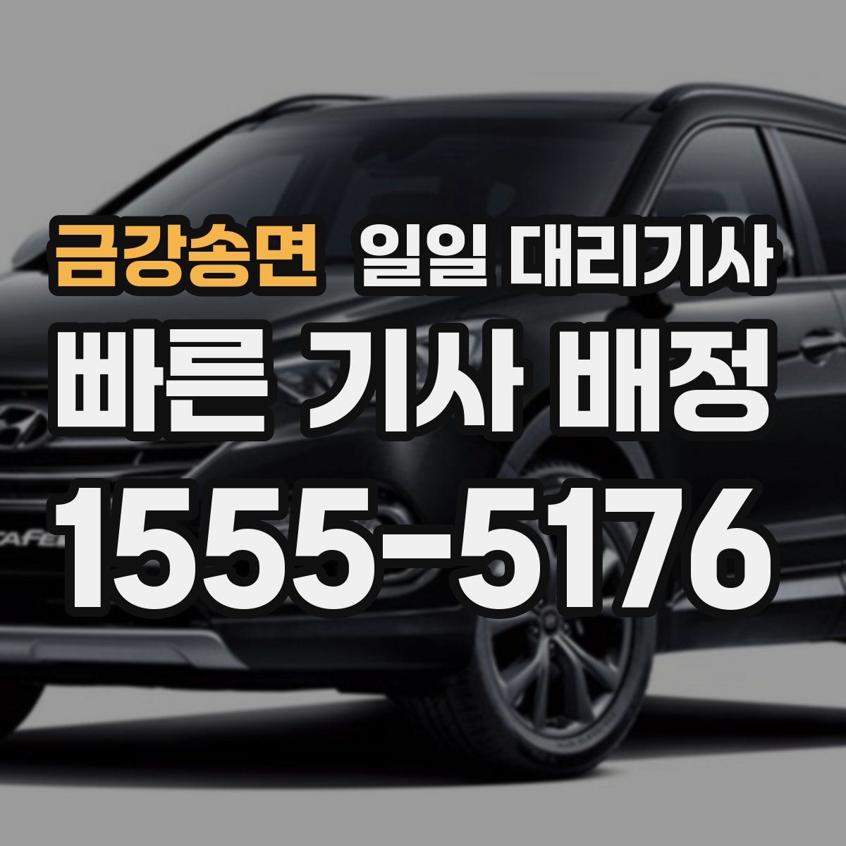 금강송면 일일 대리기사