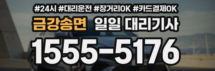 금강송면 일일 대리기사
