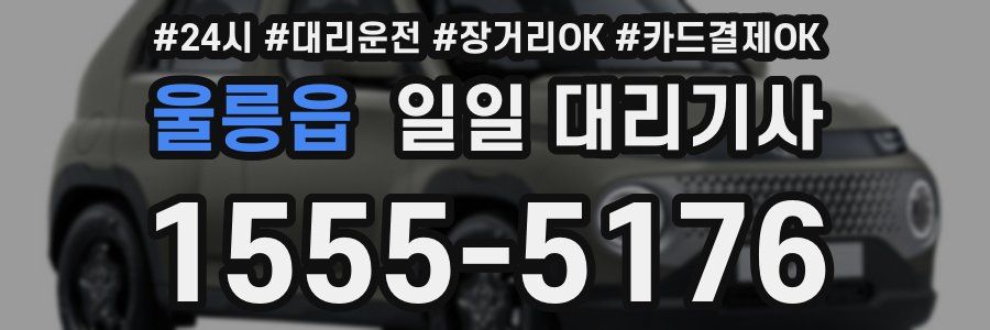 울릉읍 일일 대리기사