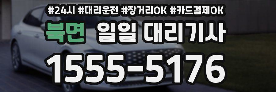북면 일일 대리기사