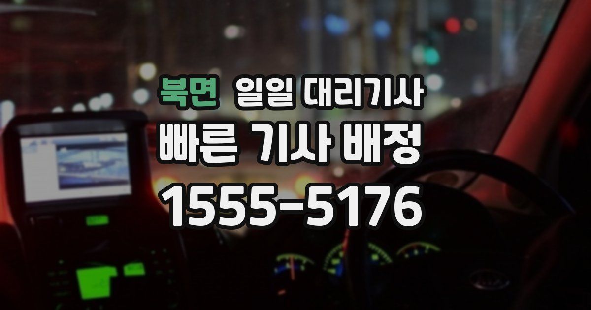 북면 일일 대리기사
