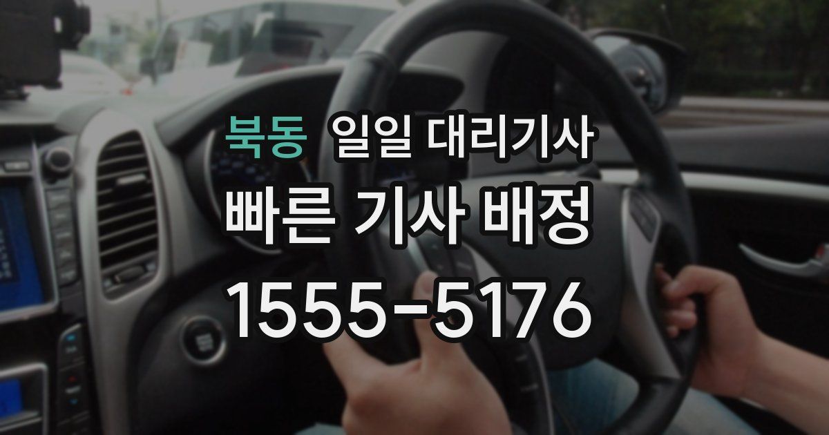 북동 일일 대리기사