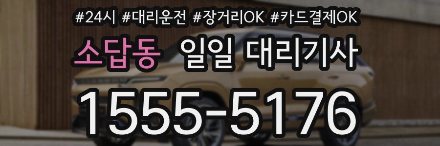 소답동 일일 대리기사
