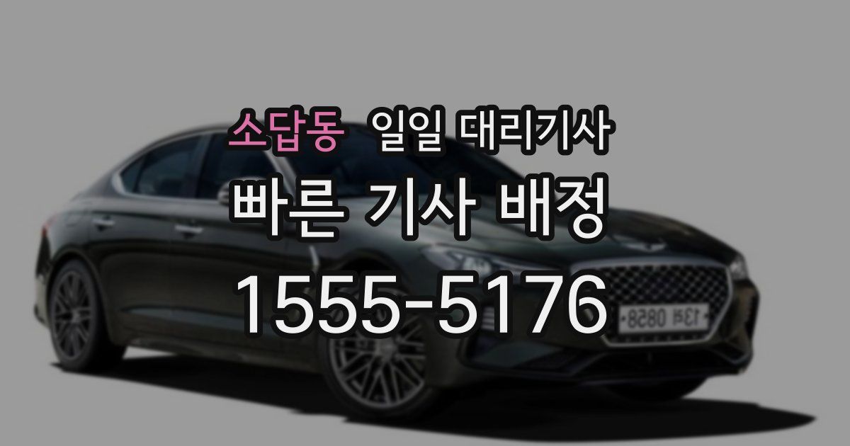 소답동 일일 대리기사