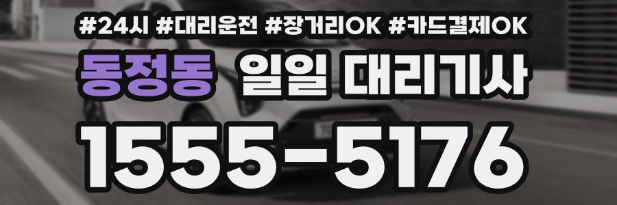 동정동 일일 대리기사