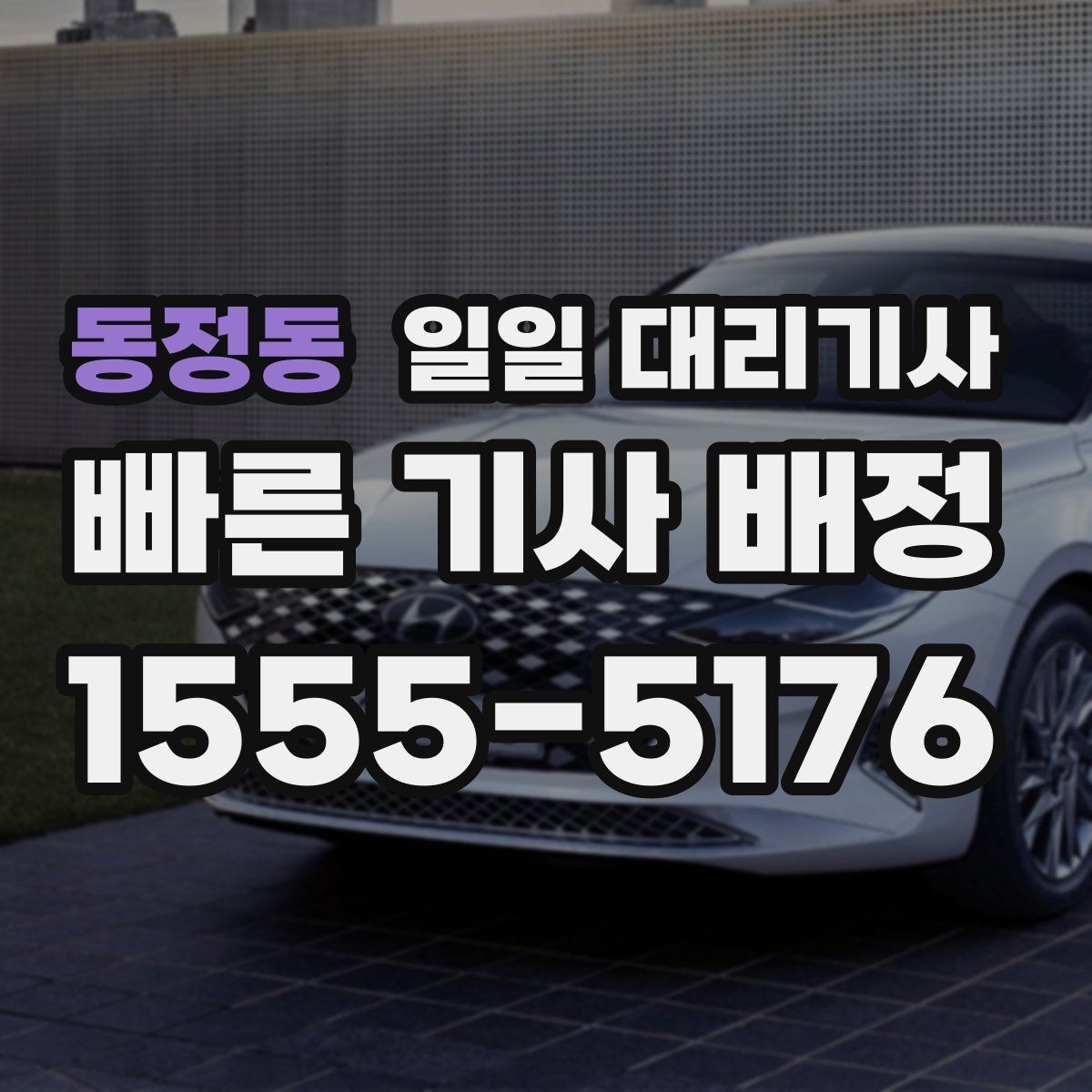 동정동 일일 대리기사