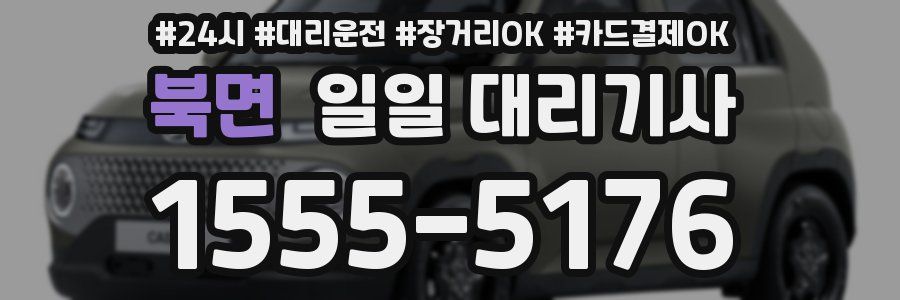 북면 일일 대리기사