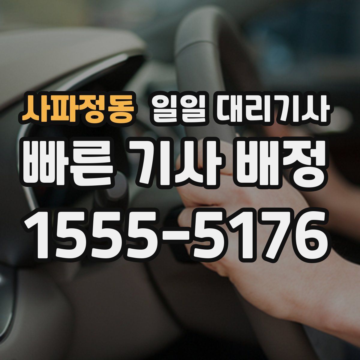 사파정동 일일 대리기사