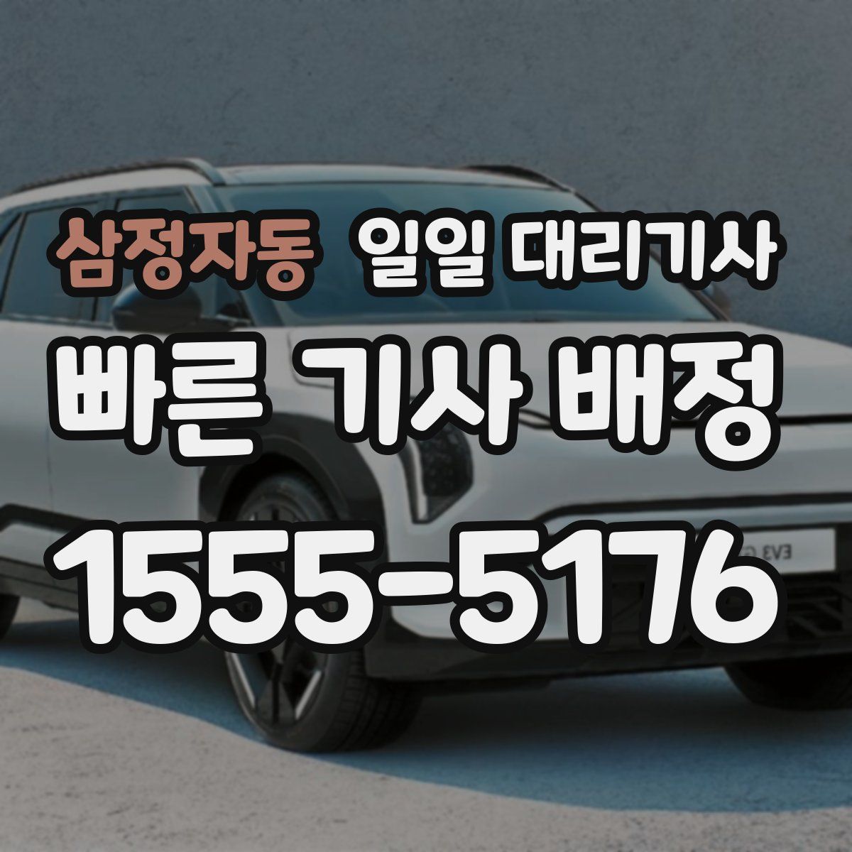 삼정자동 일일 대리기사