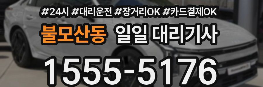 불모산동 일일 대리기사
