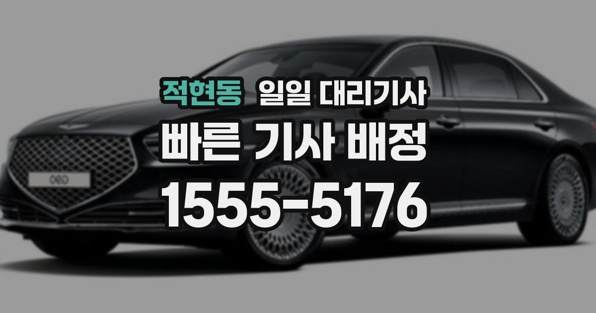 적현동 일일 대리기사