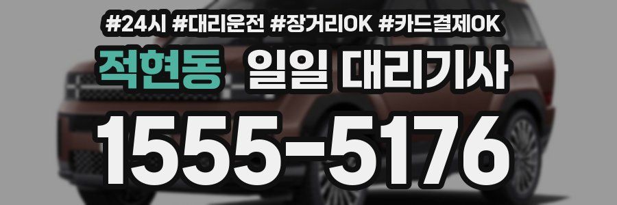 적현동 일일 대리기사