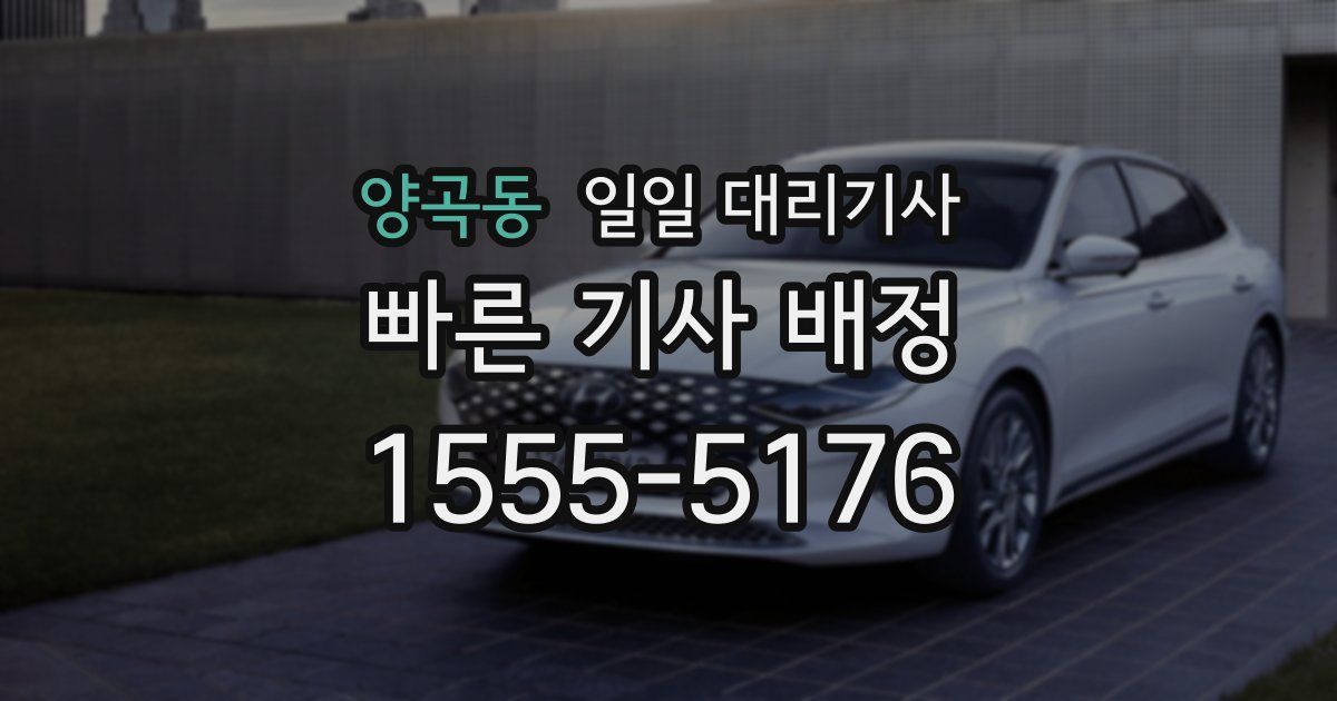 양곡동 일일 대리기사