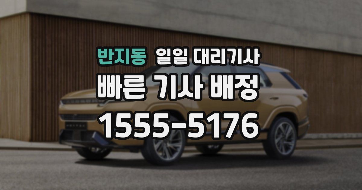 반지동 일일 대리기사
