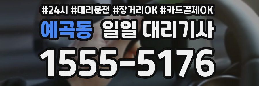 예곡동 일일 대리기사