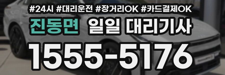 진동면 일일 대리기사