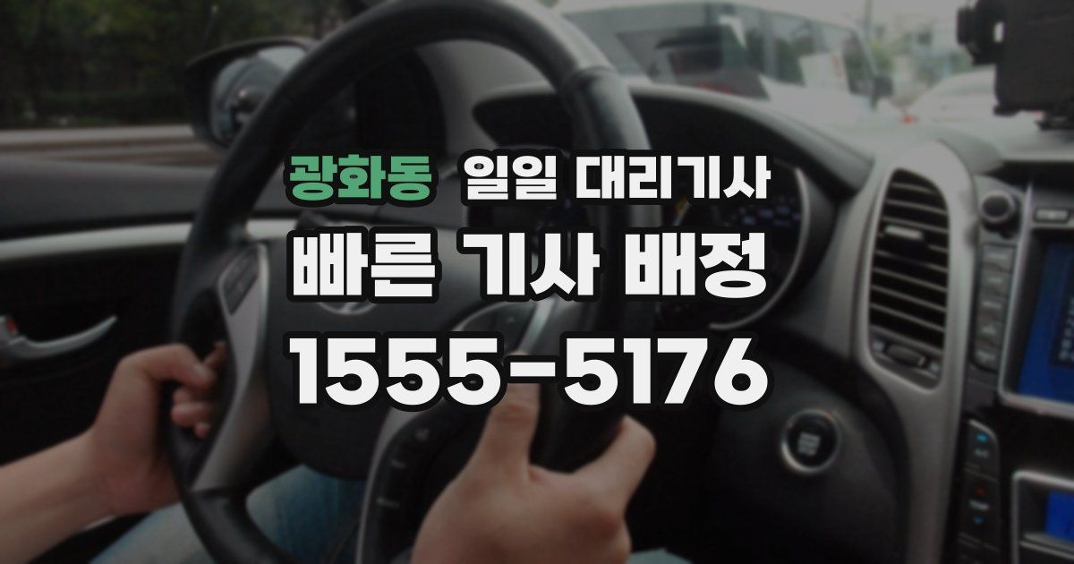 광화동 일일 대리기사