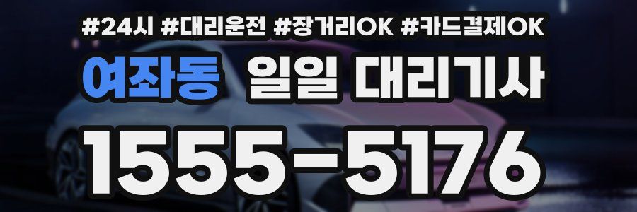 여좌동 일일 대리기사