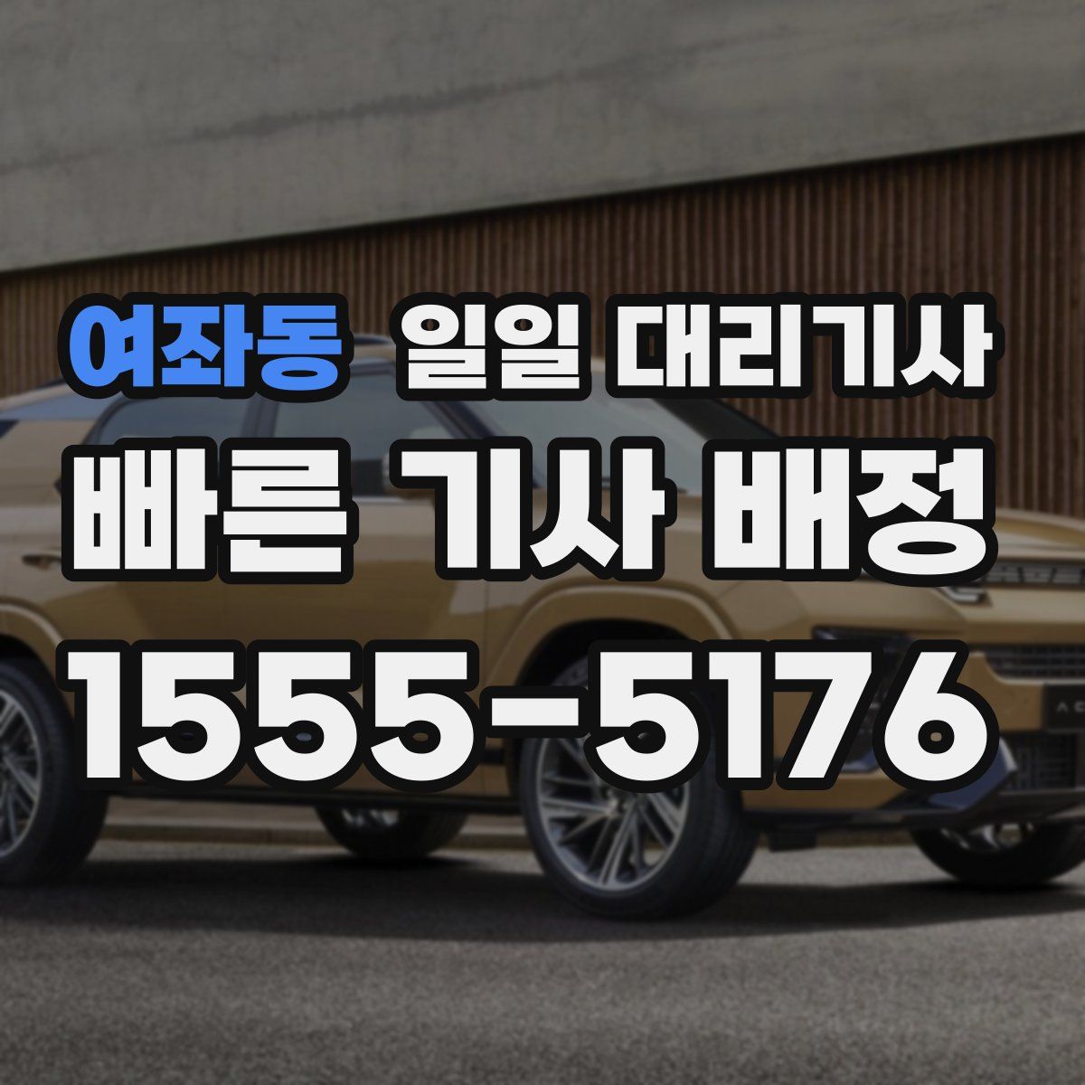 여좌동 일일 대리기사