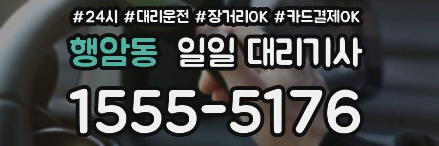 행암동 일일 대리기사
