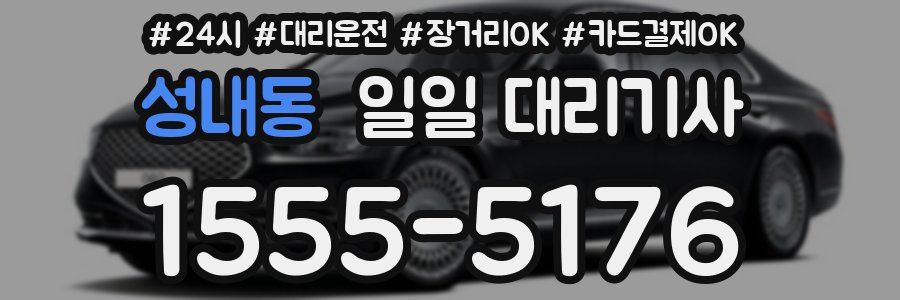 성내동 일일 대리기사