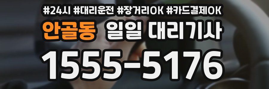 안골동 일일 대리기사