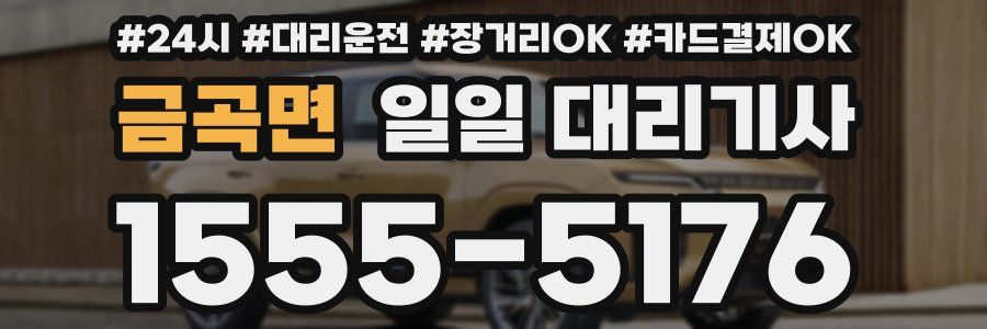 금곡면 일일 대리기사