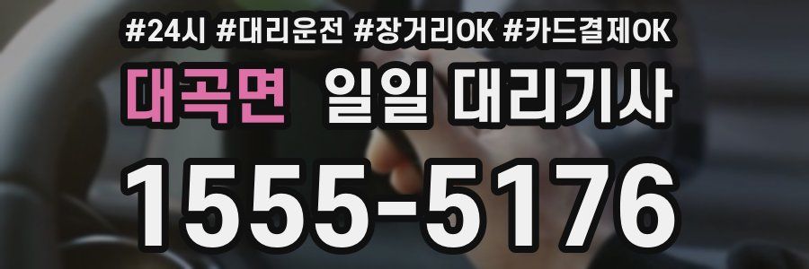 대곡면 일일 대리기사