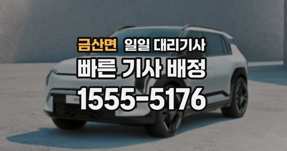금산면 일일 대리기사