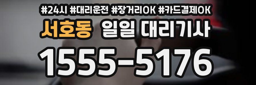 서호동 일일 대리기사