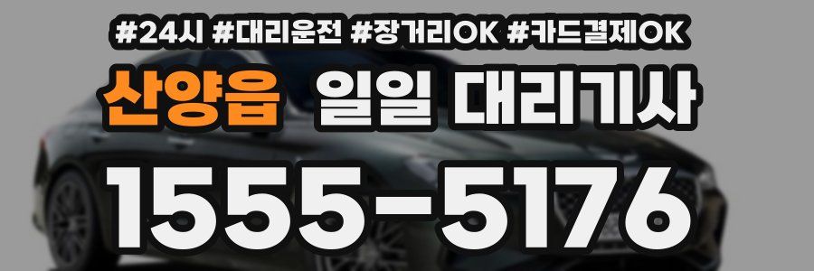 산양읍 일일 대리기사