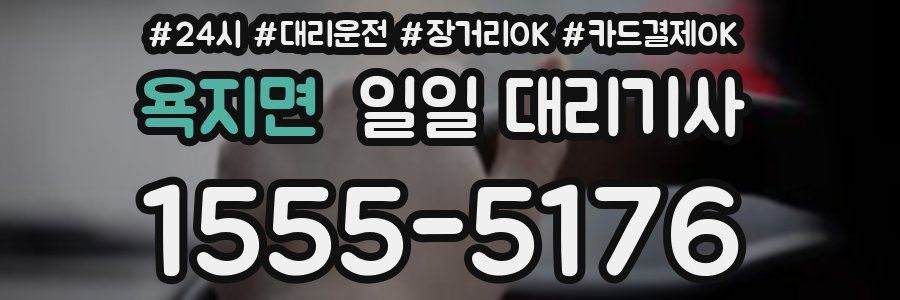 욕지면 일일 대리기사