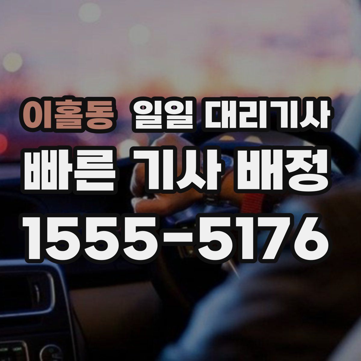 이홀동 일일 대리기사