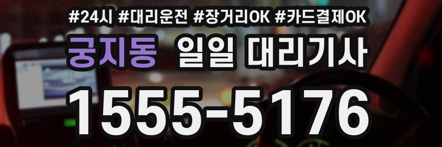 궁지동 일일 대리기사