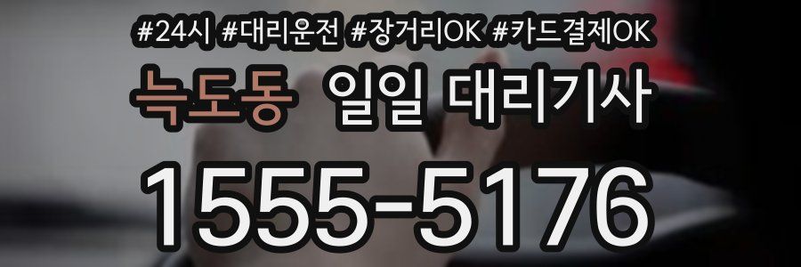 늑도동 일일 대리기사
