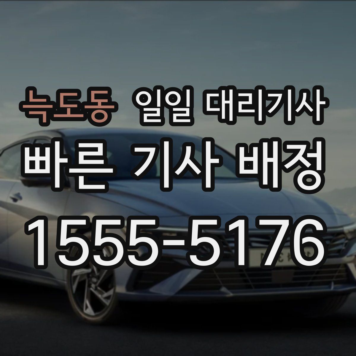 늑도동 일일 대리기사