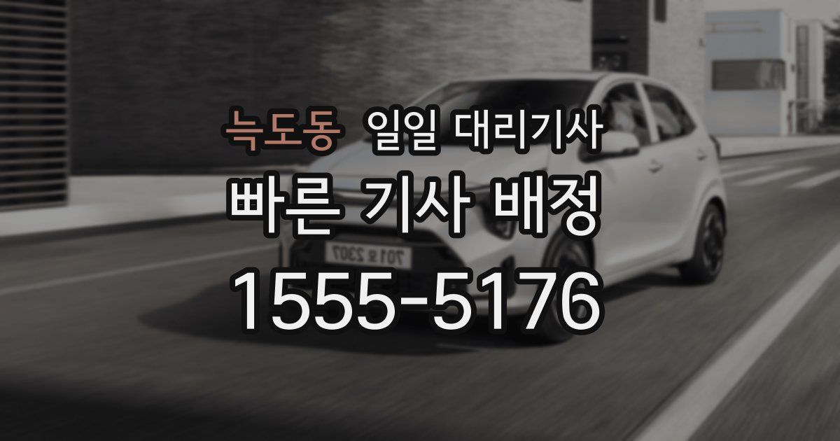 늑도동 일일 대리기사