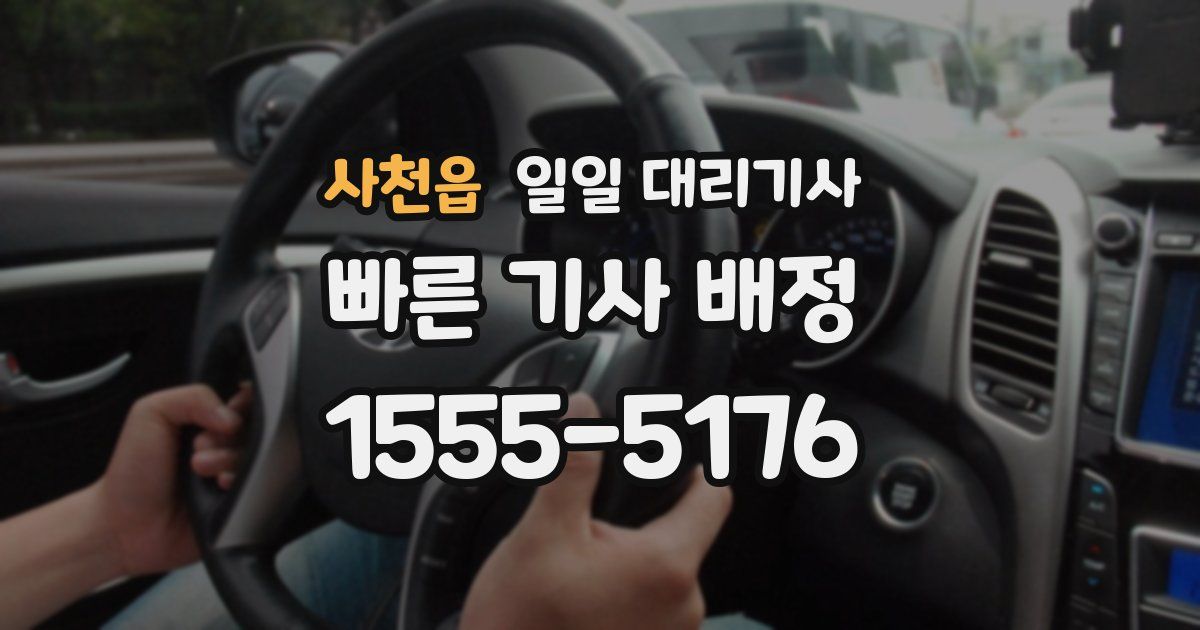 사천읍 일일 대리기사