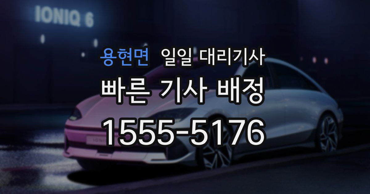 용현면 일일 대리기사