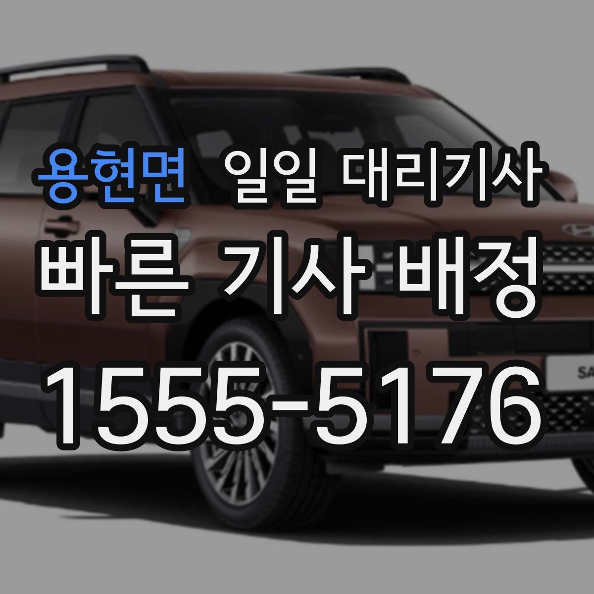 용현면 일일 대리기사
